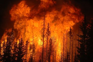 Waldbrand in Western Alberta, Kanada, Juni 2009 | © Cameron Strandberg CC BY 2.0 / Wikimedia Commons